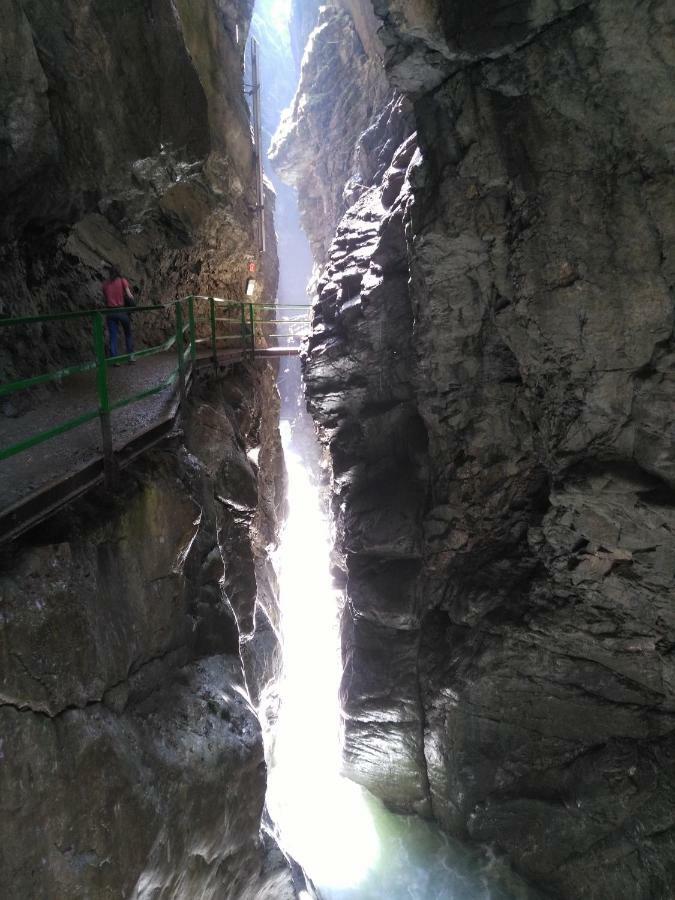 מלון Fischen im Allgaeu Berghof Mehlan מראה חיצוני תמונה
